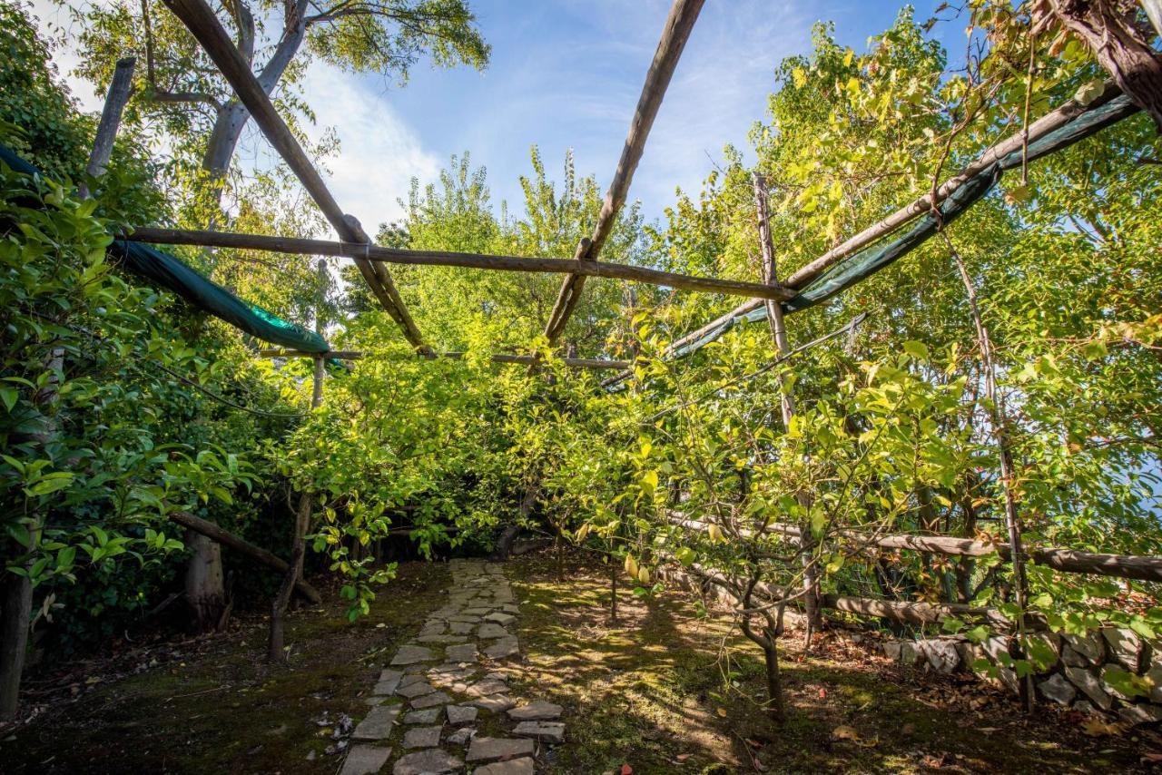 Casa Angelica Villa Sorrento Exterior photo
